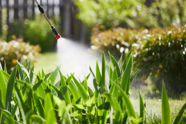 Tamper-Resistant Bait Stations for Rodents in Pierre