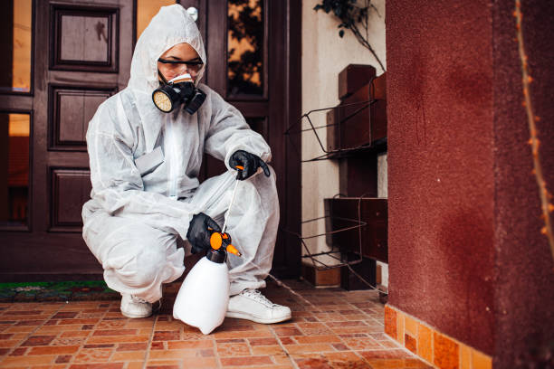 Attic and Crawl Space Rodent Treatment in Pierre